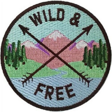 C&D Visionary P-DSX-4850 DSX Wild and Free Patch Multi Color
