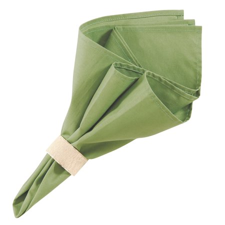 C&F Home 20" x 20" Napkin Green, Set of 4 (842611350G)