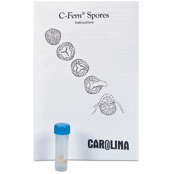 C-FERN Spores, Wild Type, Presterilized Vial, Kit-Sized