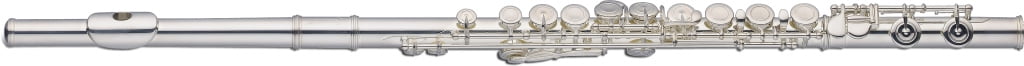 Stagg Silver Plated C Flute with Closed Holes - LV-FL5111