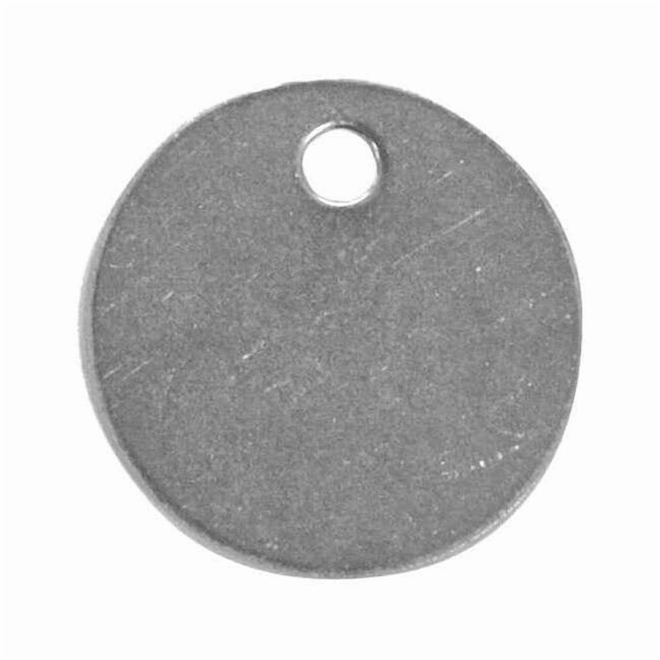 C.H. Hanson Blank Tag,SS,1 1/4in H,1 1/4in W,PK25 43123