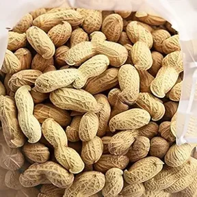 C.J. Dannemiller Raw Peanuts in the Shell, Jumbo Size, Perfect for Boiling and Roasting.
