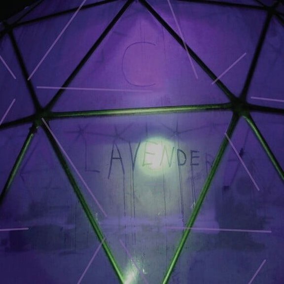 C Lavender - Myth Of Equilibrium - Music & Performance - Vinyl