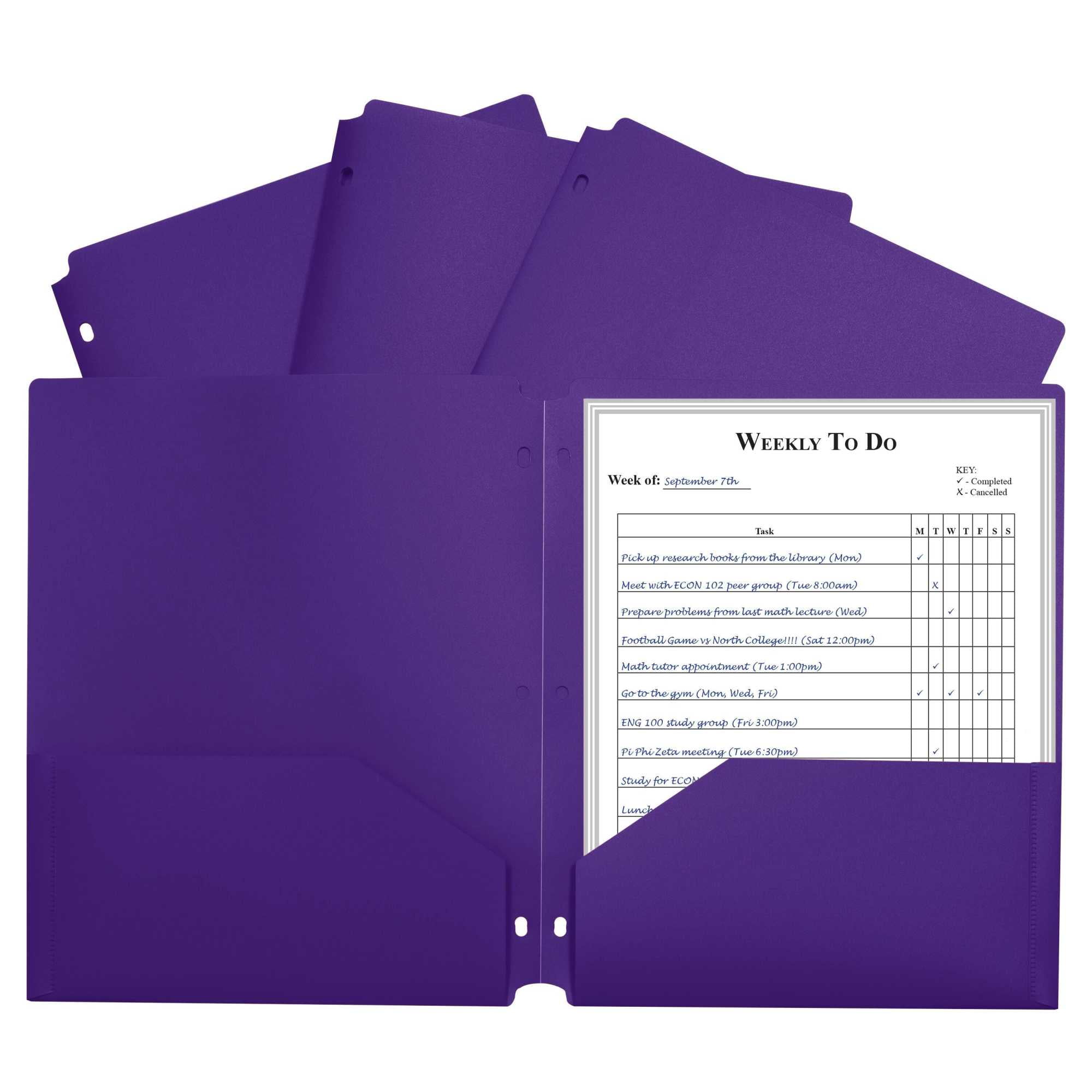 Two-Pocket Heavyweight Poly Portfolio Folder with Three-Hole Punch, Purple, Each
