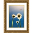 thumbnail image 1 of C. Lobato, Jose 13x18 Gold Ornate Wood Framed with Double Matting Museum Art Print Titled - Ladybug, 1 of 4