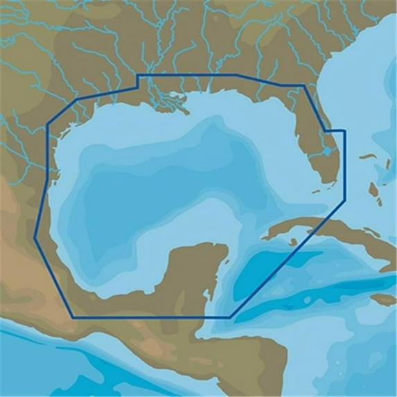 C-MAP M-NA-D064 4D microSD Gulf of Mexico