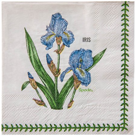 C.R. Gibson Beverage Napkins (Set of 20) | Spode Garden Florals