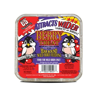 C&S Berry Suet Treat, for Wild Birds, 11.75 Ounces