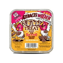 C&S Nutty Suet Treat, for Wild Birds, 11.75 Ounces