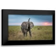 thumbnail image 1 of C. Sink, Jeffrey 14x10 Black Modern Framed Museum Art Print Titled - King Of The Domain, 1 of 5