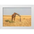 thumbnail image 1 of C. Sink, Jeffrey 14x11 White Modern Wood Framed Museum Art Print Titled - Newborn, 1 of 4