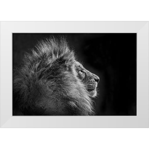 C. Sink, Jeffrey 14x11 White Modern Wood Framed Museum Art Print Titled - Simba In Monochrome