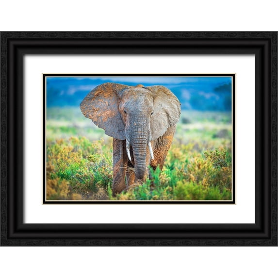 C. Sink, Jeffrey 18x13 Black Ornate Wood Framed with Double Matting Museum Art Print Titled - Pastel Elephant