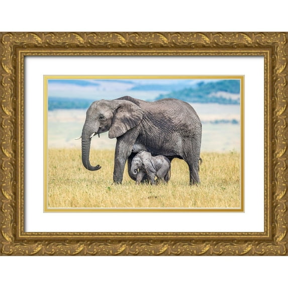 C. Sink, Jeffrey 18x13 Gold Ornate Wood Framed with Double Matting Museum Art Print Titled - A Wee One.