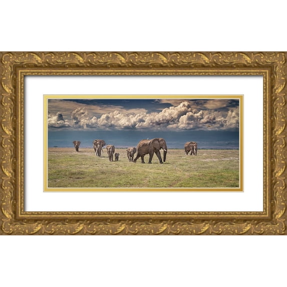 C. Sink, Jeffrey 24x13 Gold Ornate Wood Framed with Double Matting Museum Art Print Titled - Amboseli wonderland