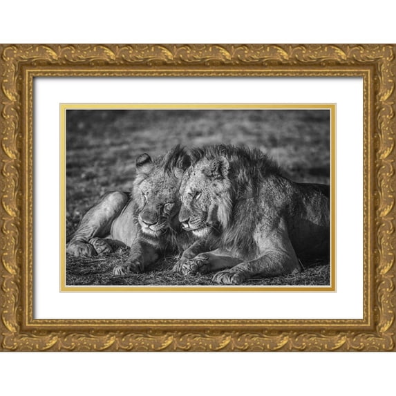 C. Sink, Jeffrey 24x17 Gold Ornate Wood Framed with Double Matting Museum Art Print Titled - The Aging Alliance.