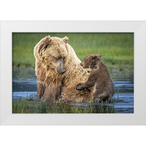 C. Sink, Jeffrey 24x17 White Modern Wood Framed Museum Art Print Titled - Bear-Back Ride?
