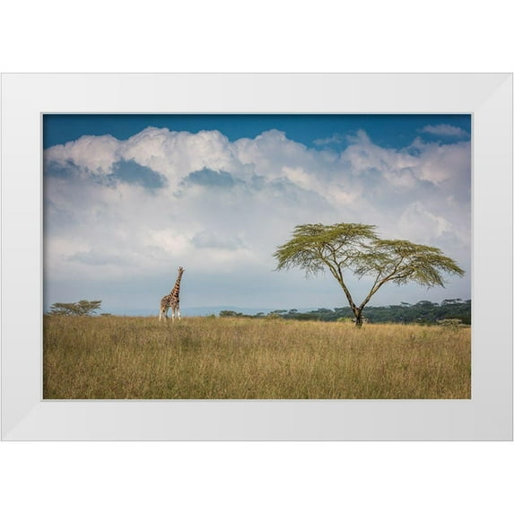 C. Sink, Jeffrey 24x17 White Modern Wood Framed Museum Art Print Titled - Qeast Africaq
