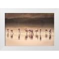 thumbnail image 1 of C. Sink, Jeffrey 32x23 White Modern Wood Framed Museum Art Print Titled - Photographic Ode To Monet, 1 of 4