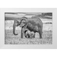 thumbnail image 1 of C. Sink, Jeffrey 32x23 White Modern Wood Framed Museum Art Print Titled - Staying Close And Protected, 1 of 4