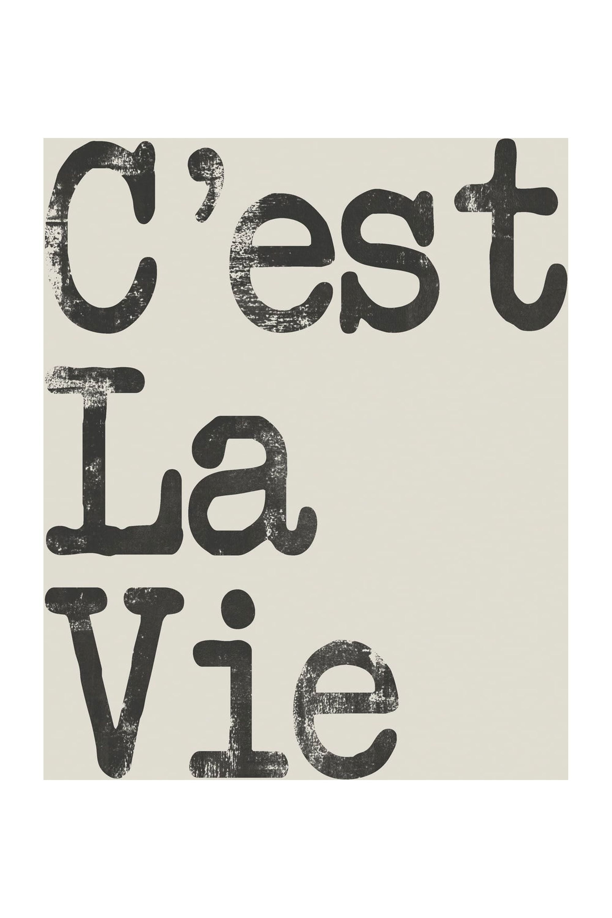 C'est La Vie II Painting Print on Wrapped Canvas