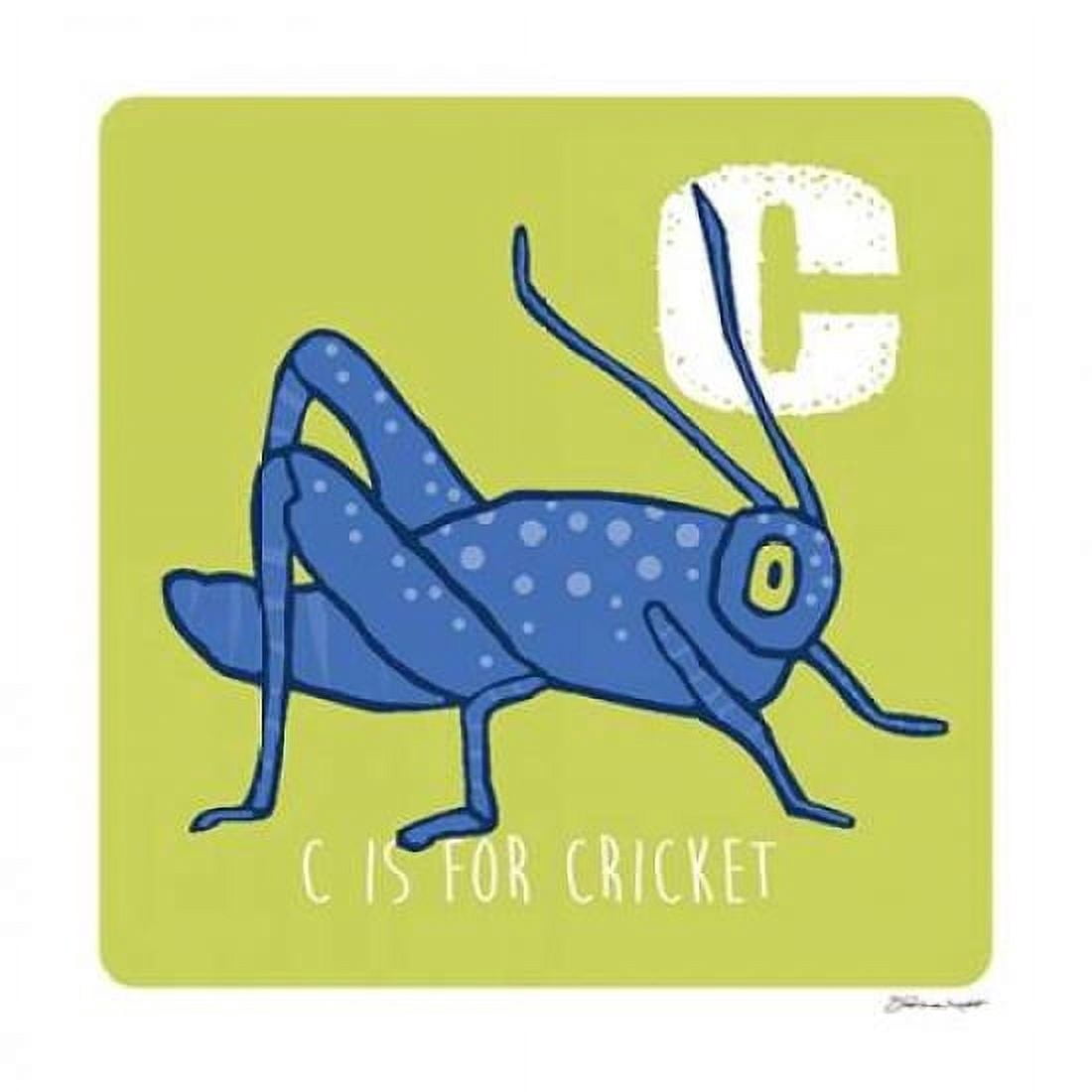 C is For Cricket Canvas Art - Stephanie Marrott (24 x 24)