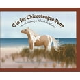 thumbnail image 1 of C is for Chincoteague Pony, (Hardcover), 1 of 1