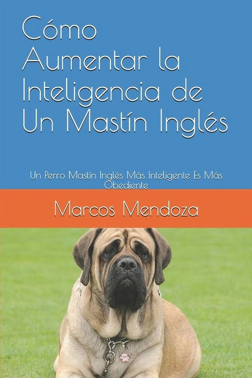 C mo Aumentar la Inteligencia de Un Mast n Ingl s Un Perro Mast n