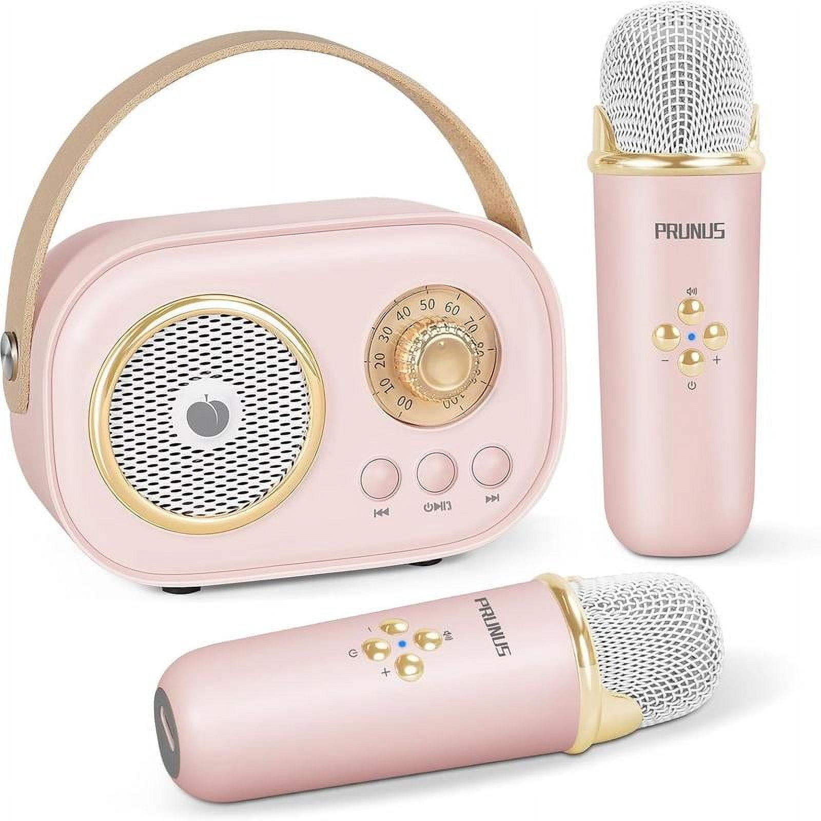 C20 Mini Karaoke Machine Portable Bluetooth Speaker with Wireless ...