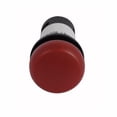 thumbnail image 1 of C22-L-R-24, 1 of 2