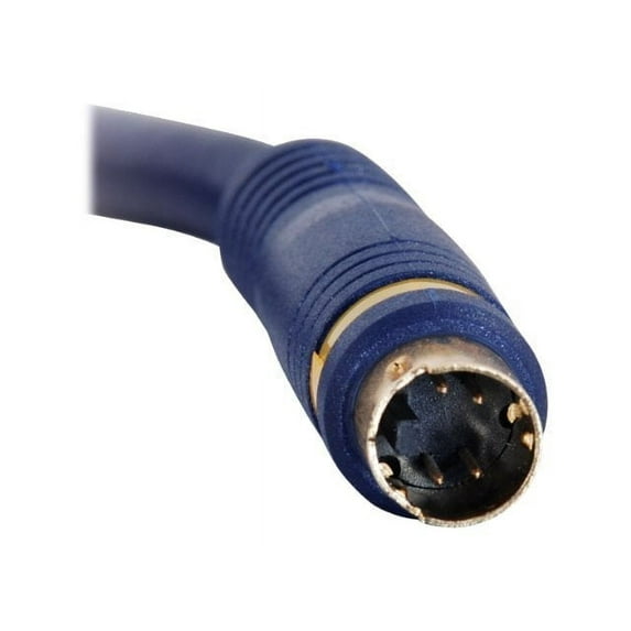 C2G 3ft Velocity S-Video Cable - mini-DIN Male - mini-DIN Male - 3ft - Blue