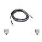 C2G High-Speed Internet Modem Cable phone cable - 100 ft - transparent blue
