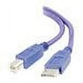 thumbnail image 1 of C2G USB cable - 10 ft, 1 of 4