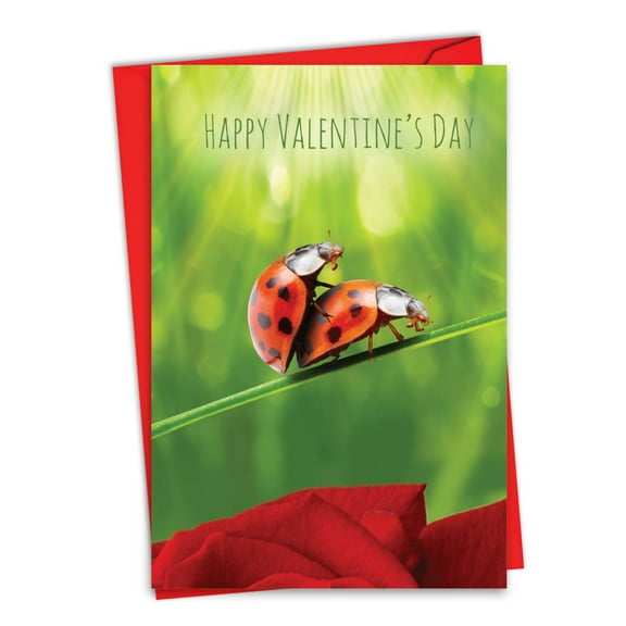C3516VDG Humorous Valentine's Day Greeting Card 'Ladybug Love' with Envelope by NobleWorks