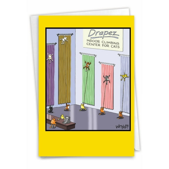 C4857CGG Funny Congratulations Card 'Cat Climbing Center' with Envelope by NobleWorks