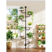 C5 Rotatable Metal Wall-Mounted Plant Stand, 6-Tier Adjustable Indoor Flower Shelf for Window Corner Display, Space-Saving Tension Pole Plant Rack, 0 180  Swivel Design, Black
