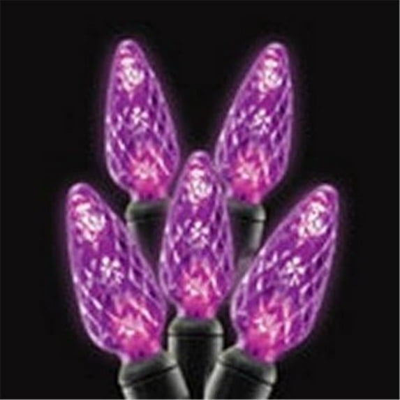 C6 LED Light Strands - Purple Full Wave