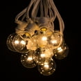 thumbnail image 1 of C9 Commercial String Lights with White Wire and G50 LED 0.6 Watt Warm White Bulbs, 1 of 6