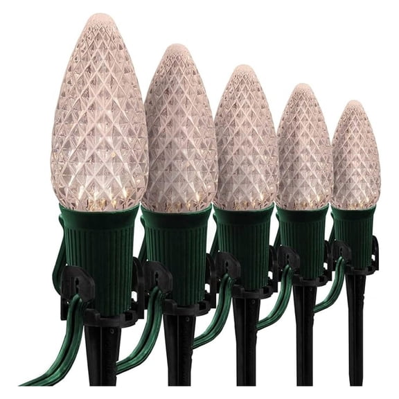 C9 Warm White Pathway Lights - 25 LED Bulbs, 25ft - Driveway, Walkway, Landscape Lighting - Heavy Duty, Green Wire, Path Stakes Included