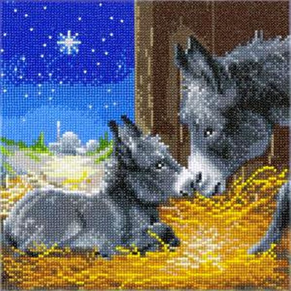 CA Kit (Medium) - Little Donkey