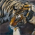 thumbnail image 1 of CA Kit (XL size B) - The Tiger, 1 of 1