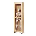 thumbnail image 1 of CABINET ROLL IN SKELETON W/GLASS DOOR 24WX22DX84H, 1 of 1