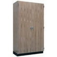 thumbnail image 1 of Diversified Woodcrafts Science Lab Wall Storage Cabinet, 1 of 2