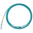 thumbnail image 1 of CACTUS ROPES The Future Heel Team Rope Blue MS, 1 of 3