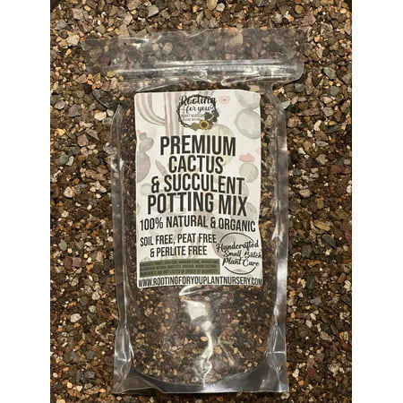 CACTUS SUCCULENT Premium Potting Mix