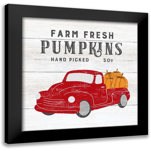 CAD Designs 12x12 Black Modern Framed Museum Art Print Titled - Farm Fresh Pumpkins