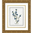 thumbnail image 1 of CAD Designs 20x24 Gold Ornate Wood Framed with Double Matting Museum Art Print Titled - Soft Botanical I, 1 of 4