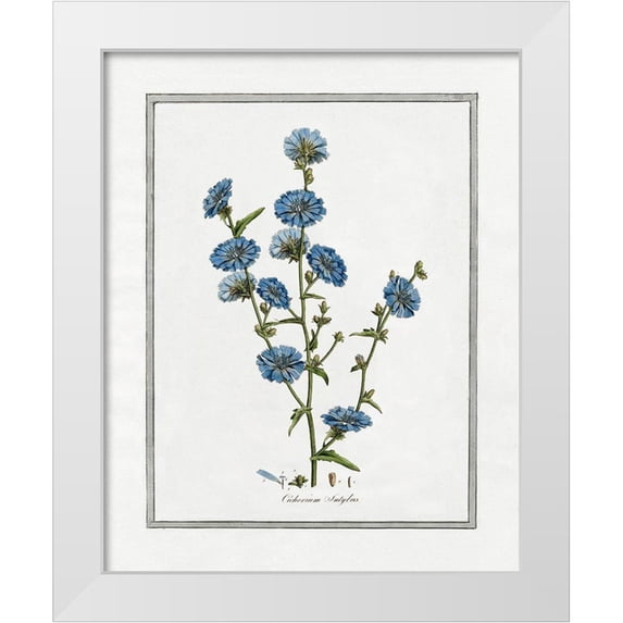CAD Designs 26x32 White Modern Wood Framed Museum Art Print Titled - Soft Botanical I