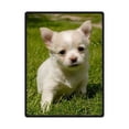 thumbnail image 1 of CADecor Adorable Chihuahua Puppy Fleece Blanket Bedroom Wrap Throw 58x80 inches, 1 of 2