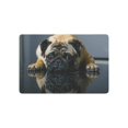 thumbnail image 1 of CADecor Animal Door Mat Home Decor, Sad Pug Dog Indoor Outdoor Entrance Doormat 23.6x15.7 Inches, 1 of 2